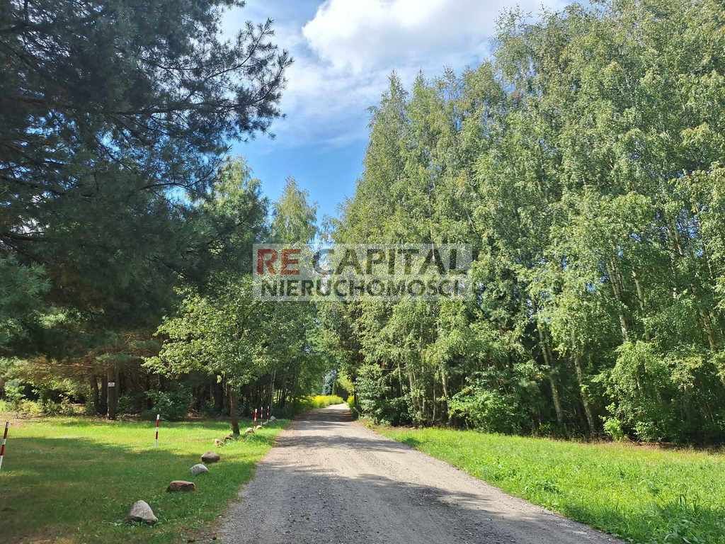 Działka siedliskowa Mariew. Zdjęcie 1