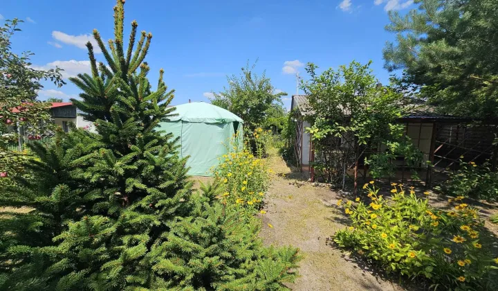 Działka rod Konin, ul. Świętojańska