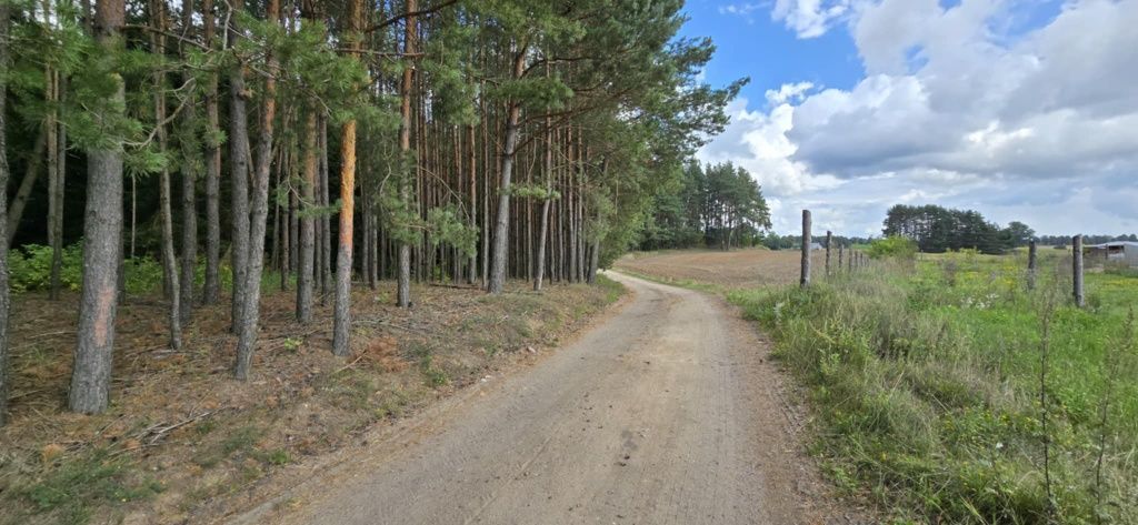 Działka budowlana Aleksandrowo. Zdjęcie 3