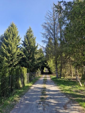 Działka budowlana Pasikonie, Pasikonie. Zdjęcie 1