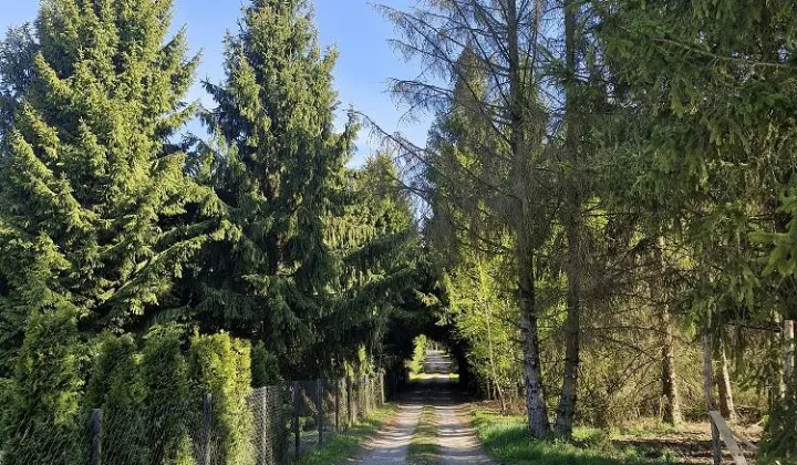 Działka budowlana Pasikonie, Pasikonie