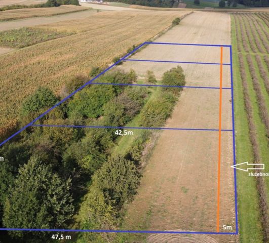 Działka budowlana Motycz. Zdjęcie 1