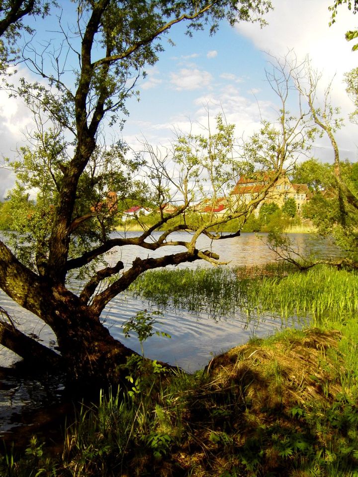 Działka budowlana Pasym, ul. Ostrów. Zdjęcie 6