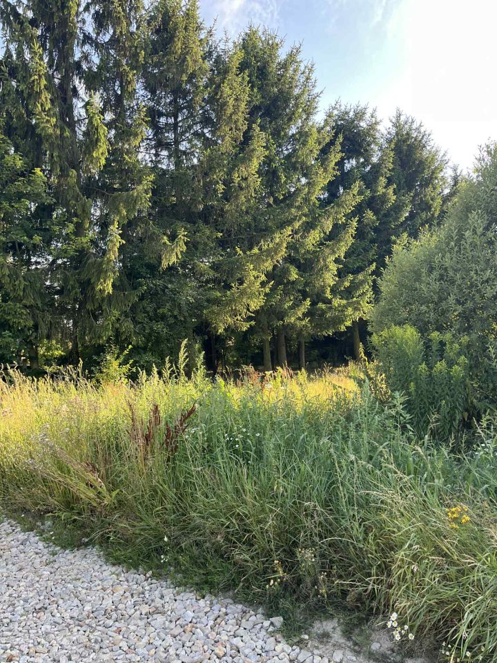 Działka budowlana Boduszyn. Zdjęcie 4