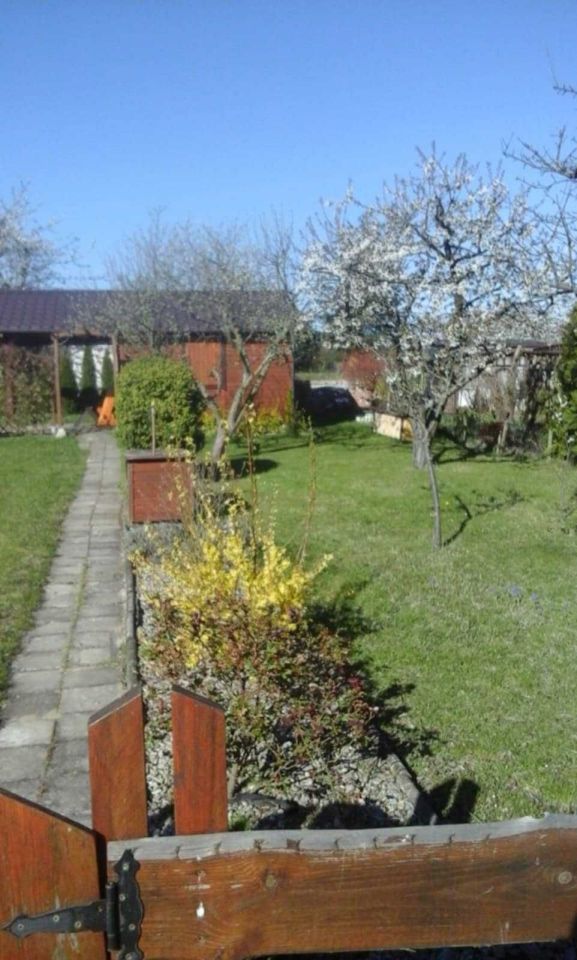 Działka rod Czarnków. Zdjęcie 4