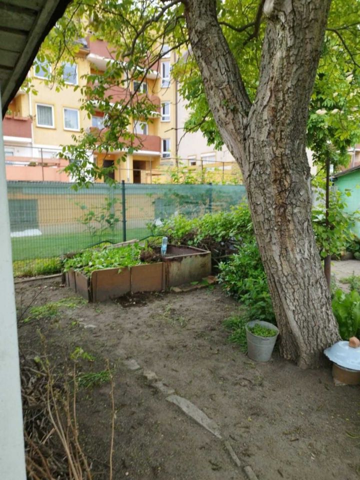 Działka rod Wrocław Śródmieście. Zdjęcie 8