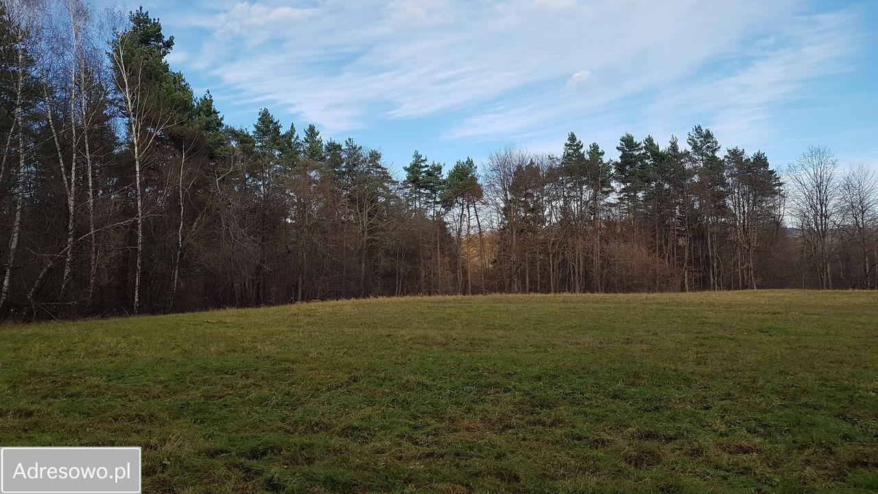 Działka inwestycyjna Bóbrka. Zdjęcie 18