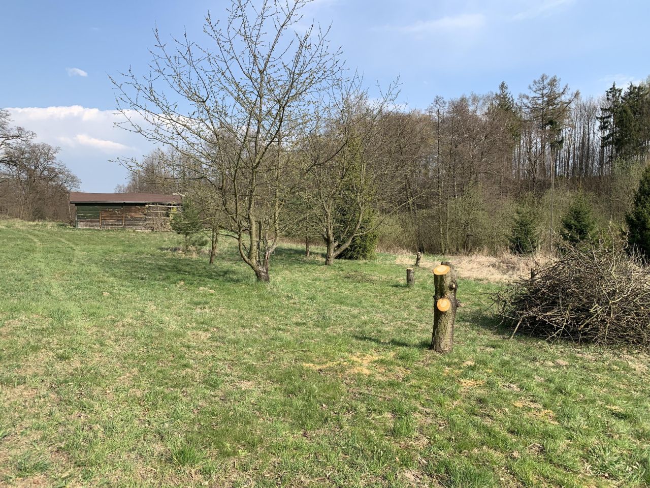 Działka rolno-budowlana Lwowiany, Glowna. Zdjęcie 6