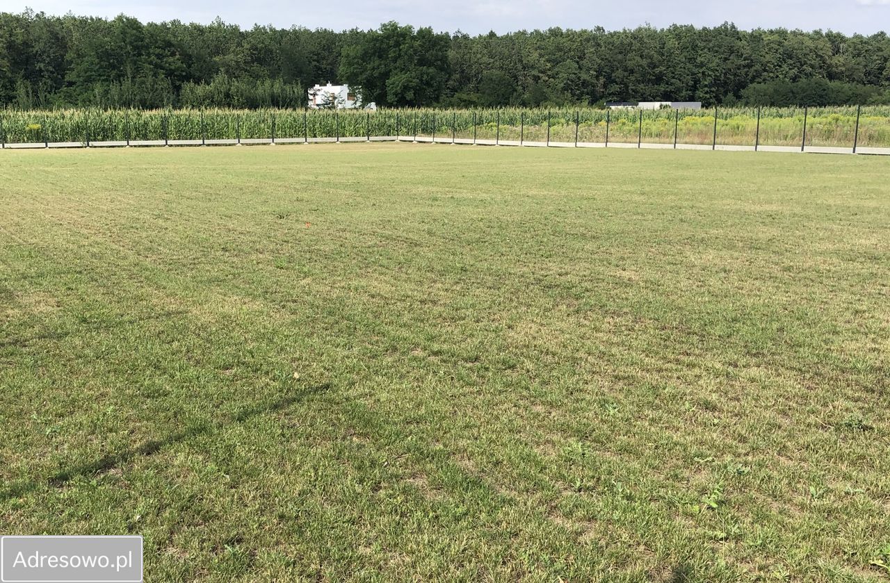 Działka siedliskowa Krzeptów, ul. Gajowa. Zdjęcie 10