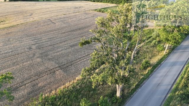 Działka budowlana Błotnia. Zdjęcie 7