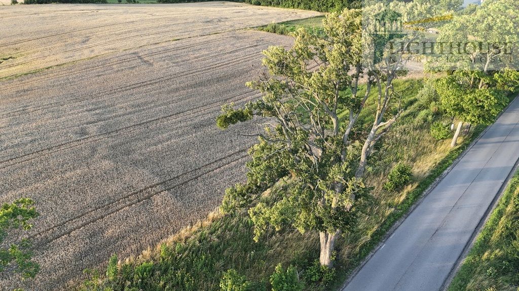 Działka budowlana Błotnia. Zdjęcie 7