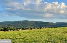 Działka budowlana Janowice Wielkie, ul. Chłopska. Zdjęcie 2