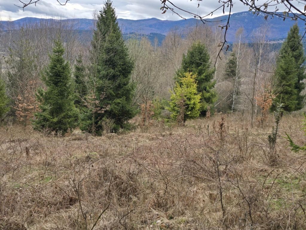 Działka rolna Zawoja