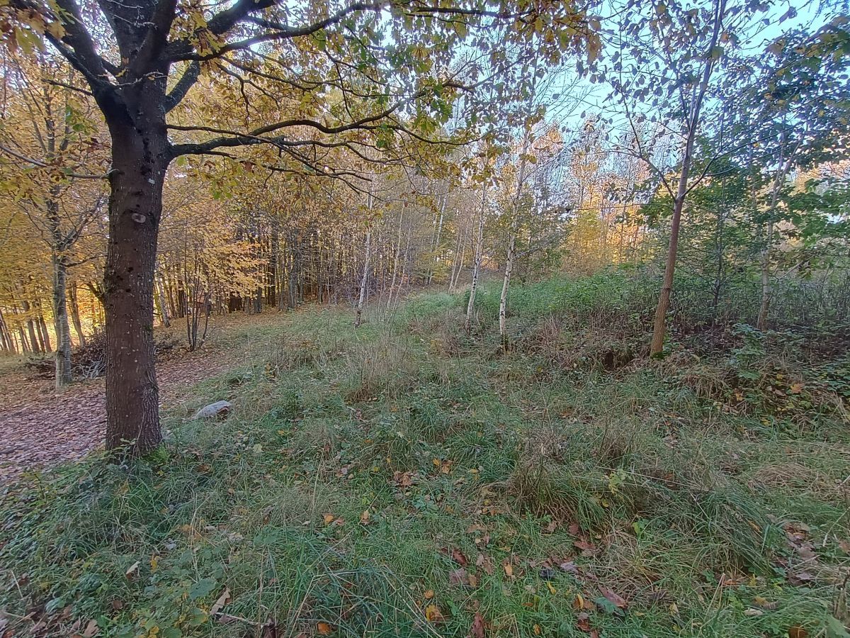 Działka budowlana Gromadzin. Zdjęcie 6