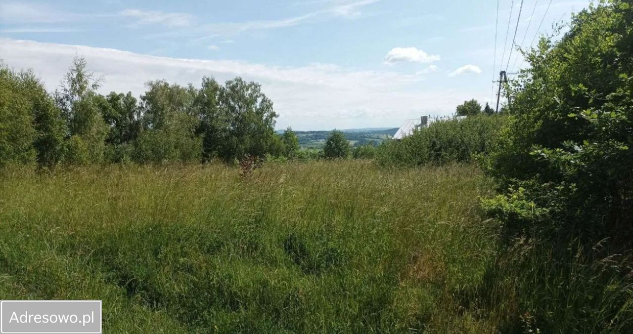 Działka budowlana Rzepiennik Strzyżewski. Zdjęcie 7