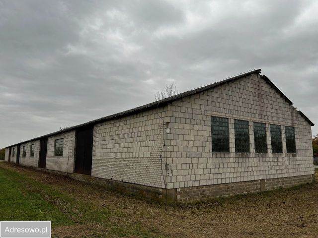 Hala/magazyn Siedzów. Zdjęcie 1