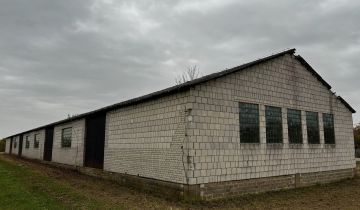 Hala/magazyn Siedzów