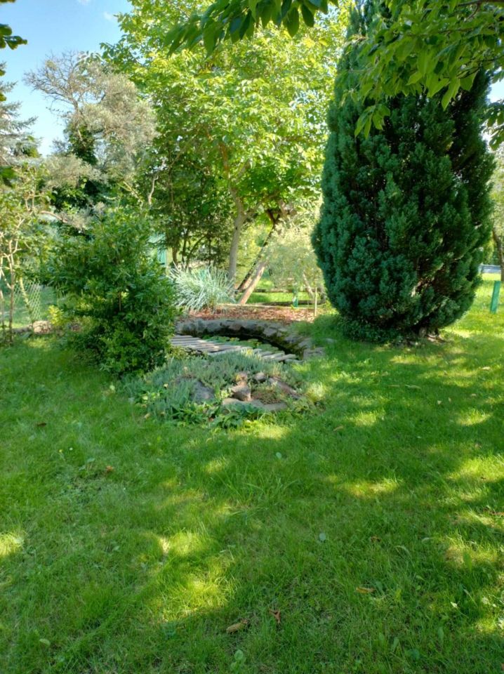 Działka rod Piątnica Poduchowna. Zdjęcie 4