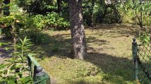 Działka rod Wrocław Śródmieście, ul. Odona Bujwida. Zdjęcie 4