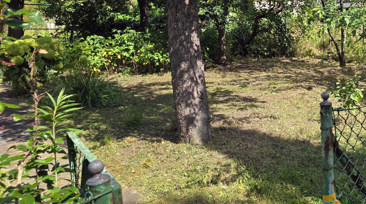 Działka rod Wrocław Śródmieście, ul. Odona Bujwida. Zdjęcie 6