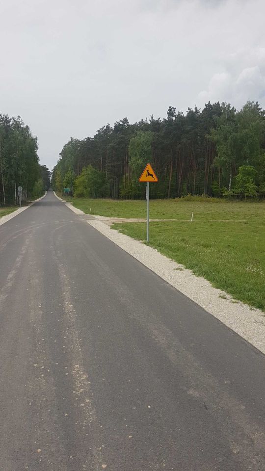 Działka budowlana Zielenie. Zdjęcie 1