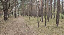 Działka budowlana Solec Kujawski, ul. Garbary. Zdjęcie 4
