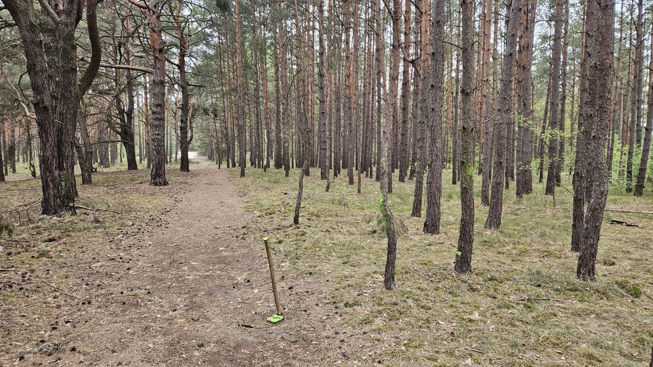 Działka budowlana Solec Kujawski, ul. Garbary. Zdjęcie 5