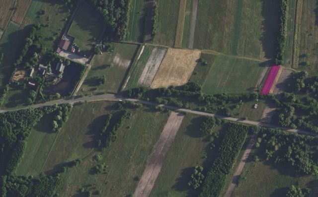 Działka rolna Zalesie. Zdjęcie 1