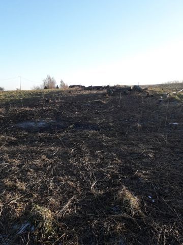 Działka budowlana Krasieniec Zakupny. Zdjęcie 4