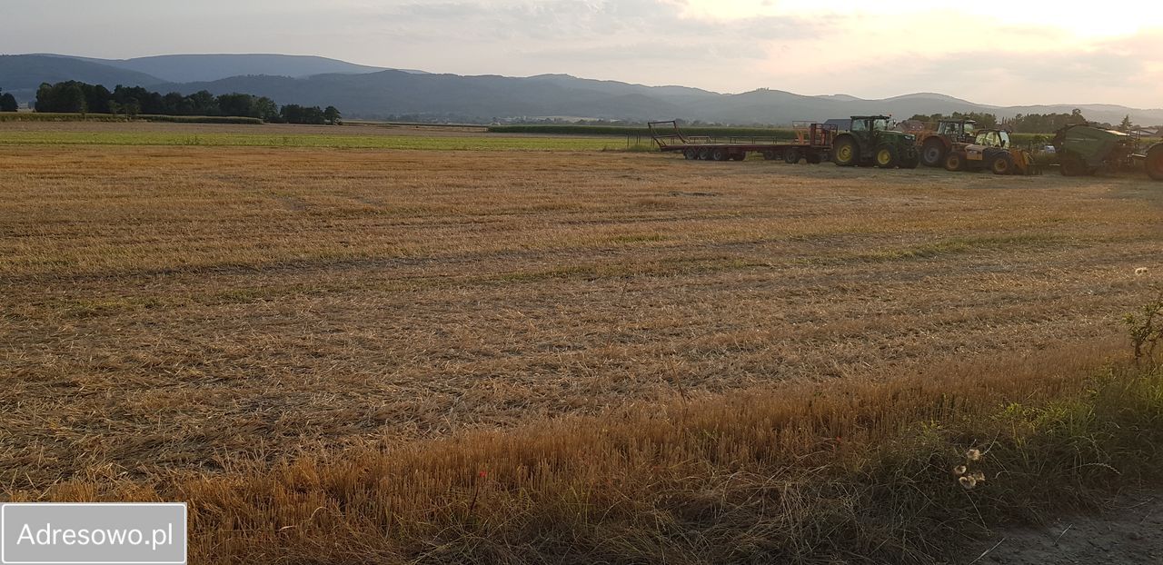 Działka siedliskowa Pieszyce Bratoszów. Zdjęcie 5