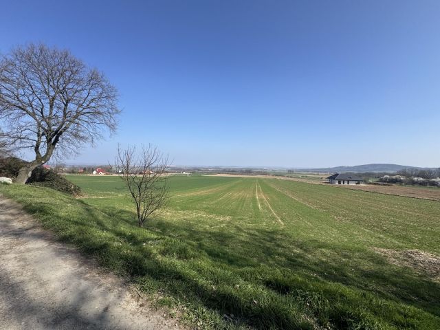 Działka budowlana Strzegomiany. Zdjęcie 4