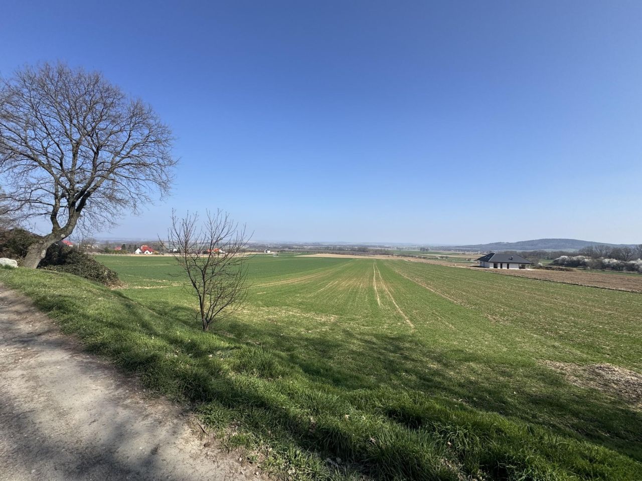 Działka budowlana Strzegomiany. Zdjęcie 4