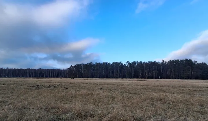 Działka budowlana Mikołeska, ul. Leśna Polana