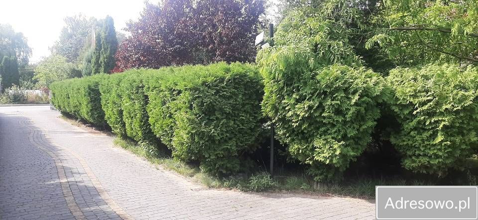 dom wolnostojący Tuszyn, ul. Młynkowa. Zdjęcie 2