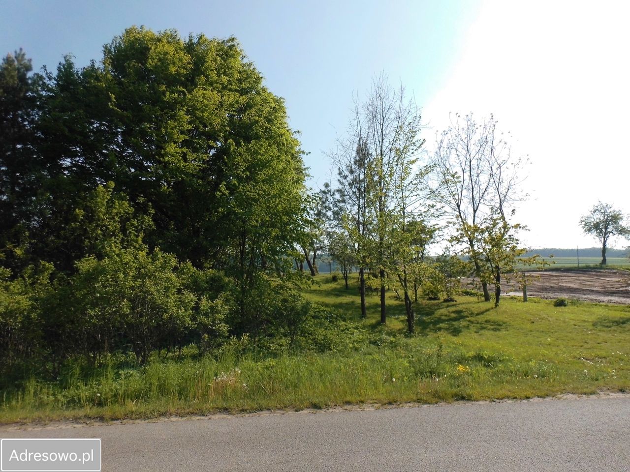 Działka rolna Szypowice. Zdjęcie 1