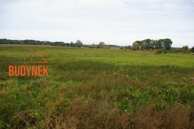 Działka budowlana Pęciszewko, Pęciszewko (Porzecze). Zdjęcie 9
