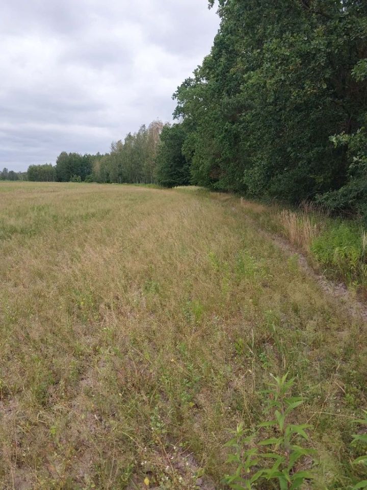 Działka budowlana Zbydniów. Zdjęcie 3