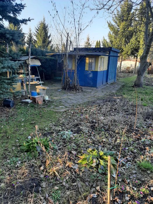 Działka rod Zduńska Wola, ul. Adama Mickiewicza. Zdjęcie 6