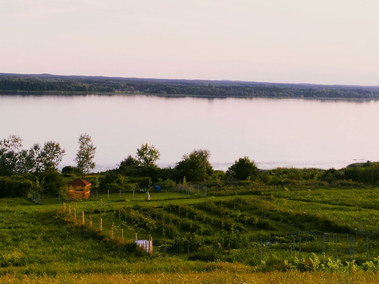 Działka rekreacyjna Więcławice. Zdjęcie 2