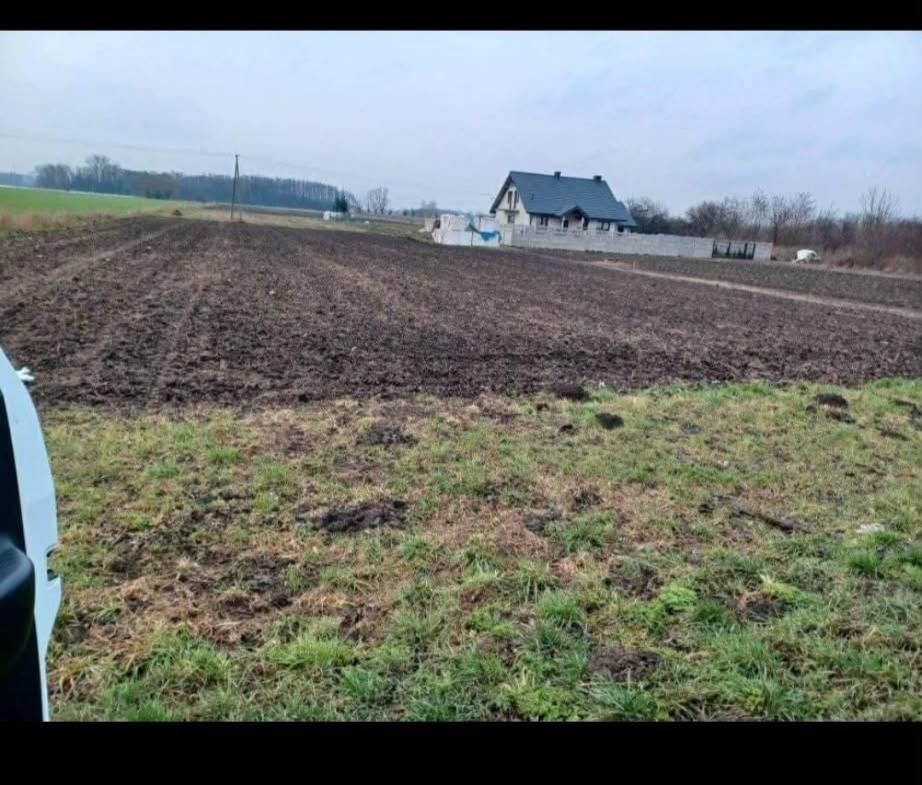 Działka rolno-budowlana Zarębin. Zdjęcie 3