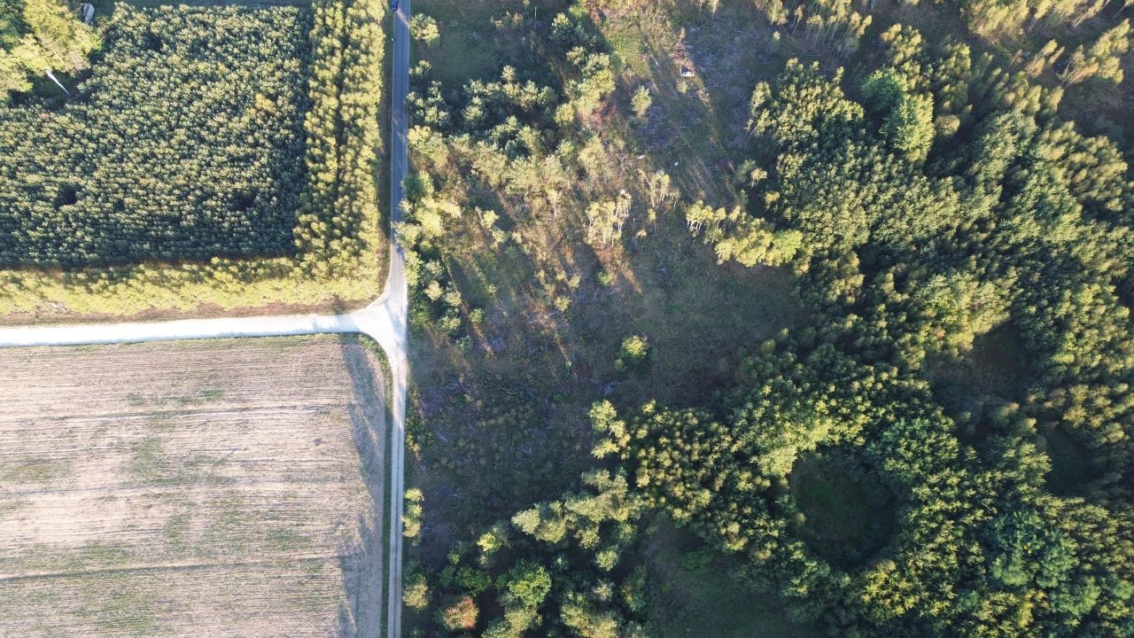 Działka rolno-budowlana Boguchwała. Zdjęcie 19