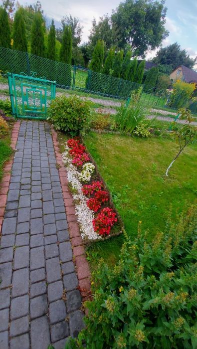 Działka rod Gdańsk Rębiechowo, ul. Nowatorów. Zdjęcie 8