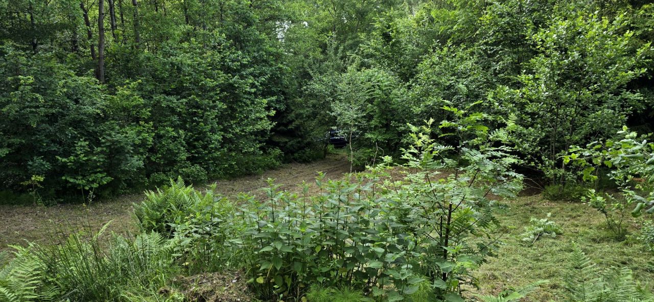 Działka rolna Brodnica Dolna, ul. Rybacka. Zdjęcie 13