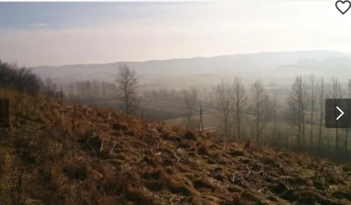 Działka budowlana Piekło Górne, ul. Kasztanowa