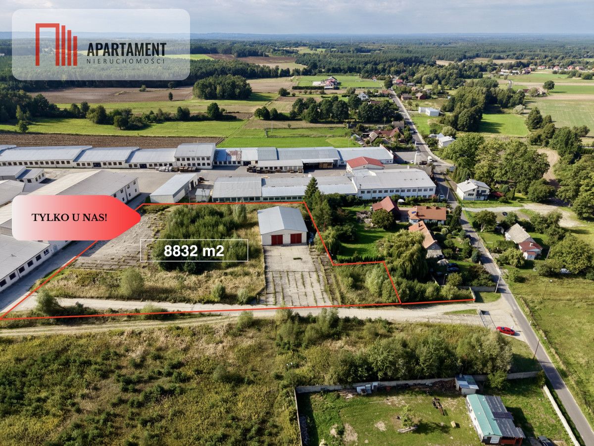 Lokal Królewska Wola. Zdjęcie 3