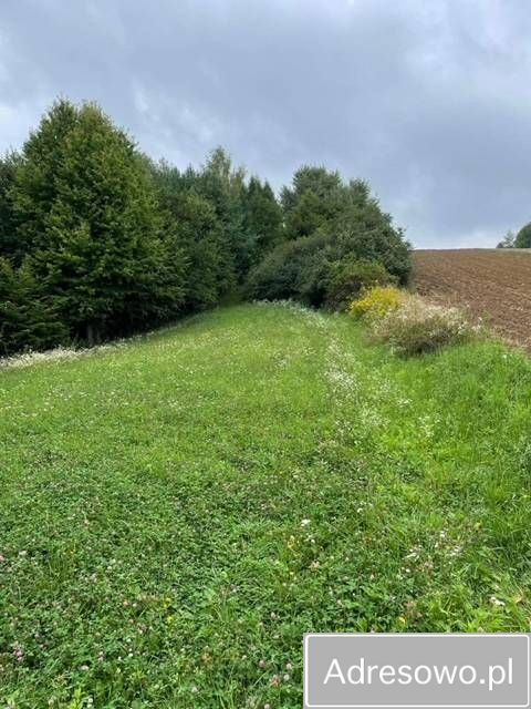 Działka rekreacyjna Bierówka. Zdjęcie 2