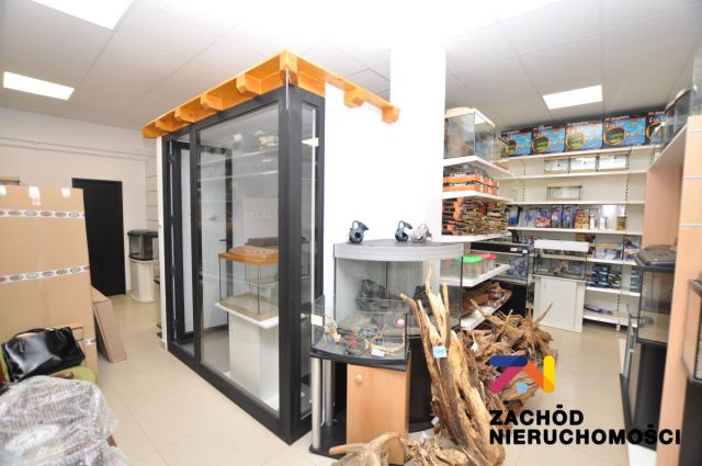 Lokal Zielona Góra Jędrzychów. Zdjęcie 8