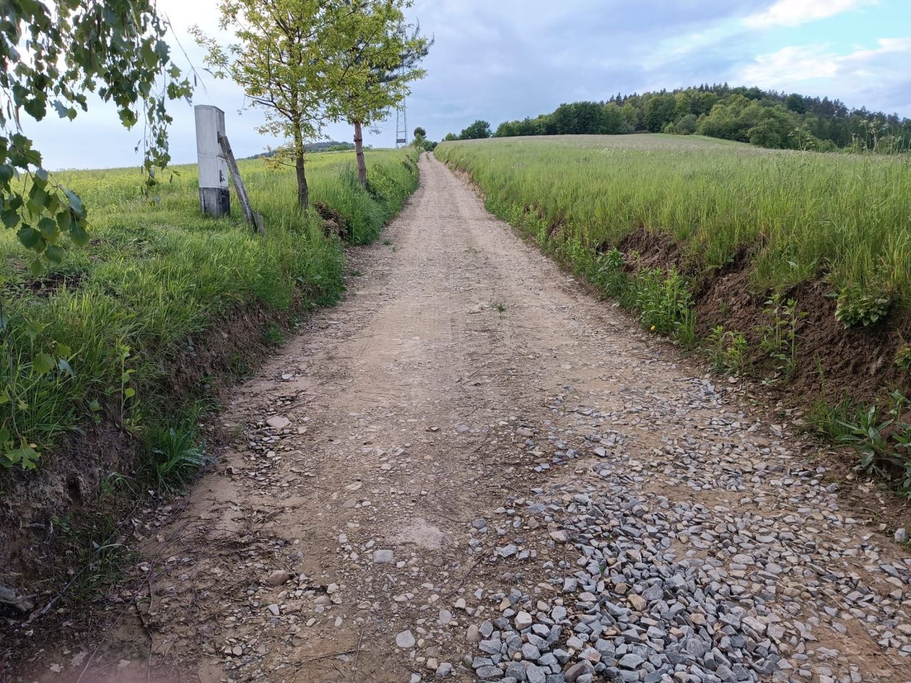 Działka rekreacyjna Wujskie. Zdjęcie 6