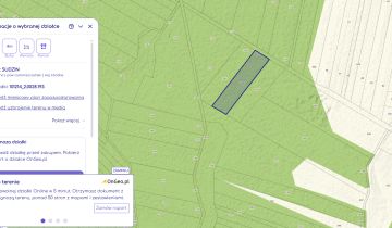 Działka leśna Sudzin