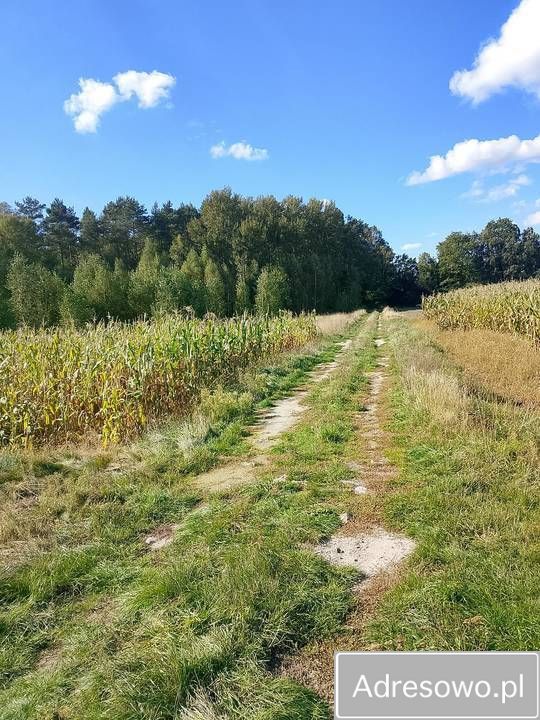 Działka rolna Podwody-Kolonia